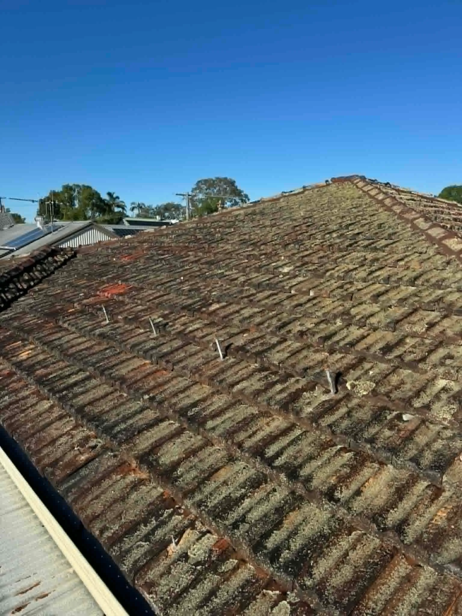 Before soft washing and pressure washing