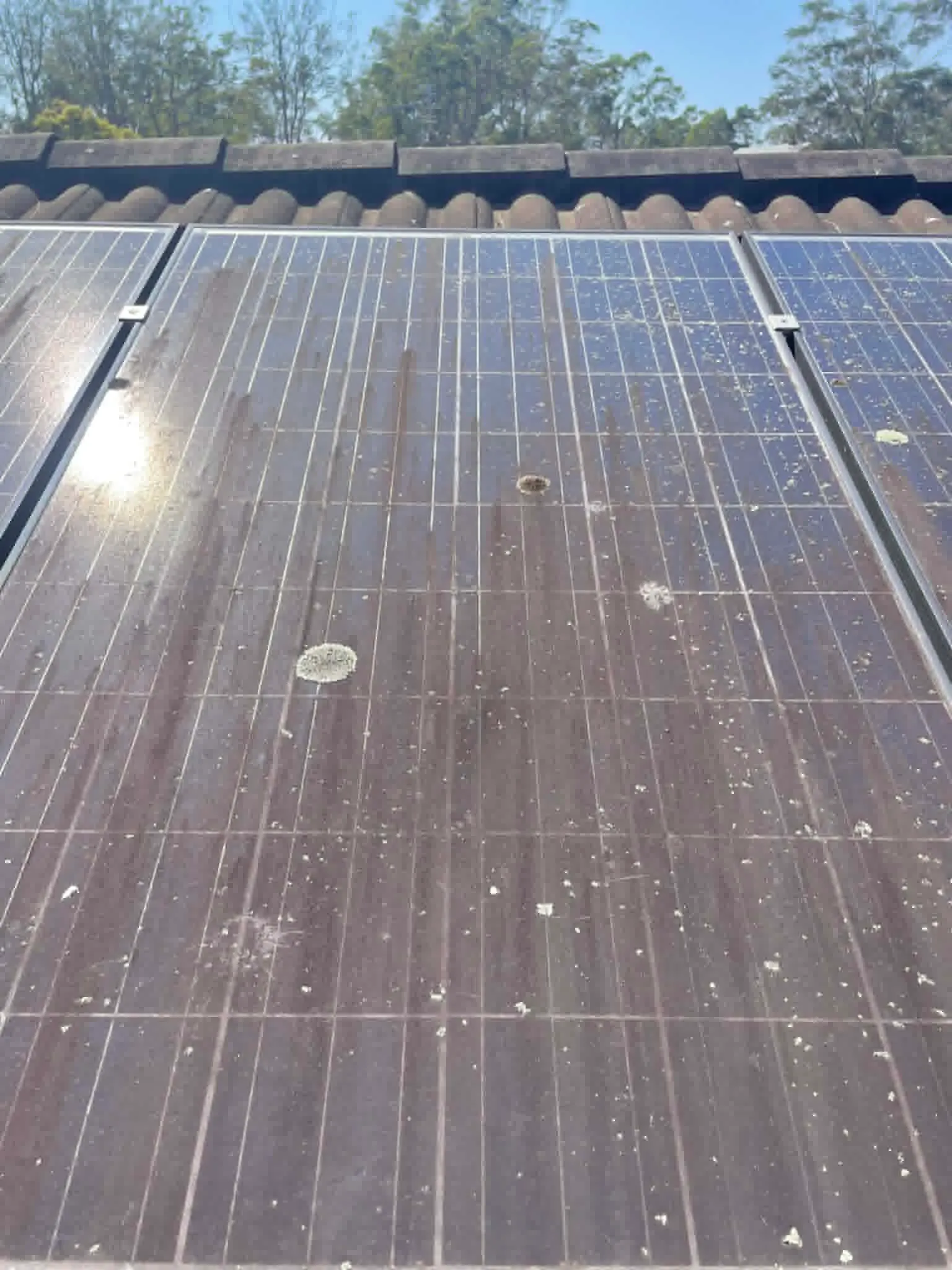 solar panels